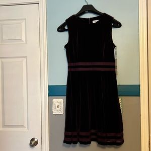 Calvin Klein Velvet Dress Size 12. Never worn with tags.
